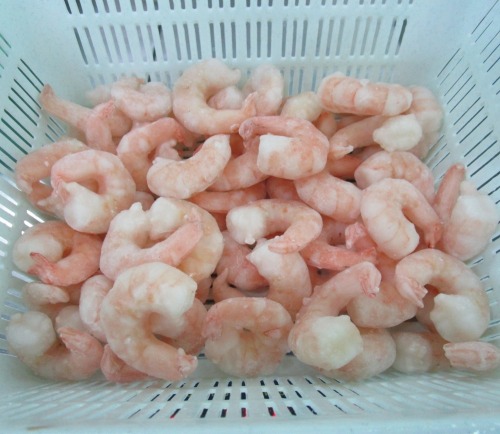 Frozen vannamei shrimp cooked PD
