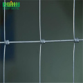 Galvanized Wire Farm Field Mesh Fencing