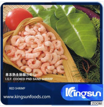 Fresh Frozen Red Shrimp