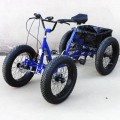 Fat tire off-road pedal quad bike snow four-wheeler bike