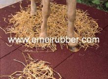 Horse Stabel Mat/ Horse Flooring/ Equine Mat