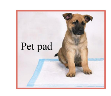 Non-Woven Underpad Pet Pad