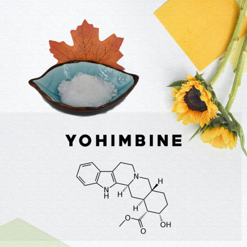 Reine natürliche Yohimbin -Rindextrakt Yohimbin HCl 98%