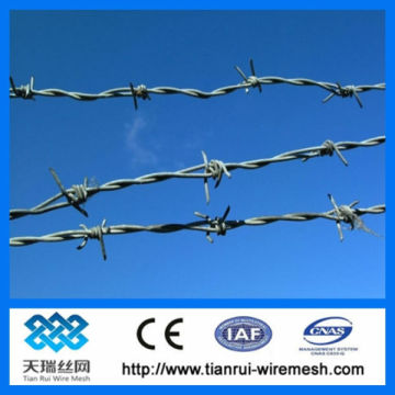 barbed wire fencing