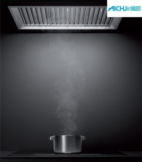 Fisher Paykel Range Hood 120cm