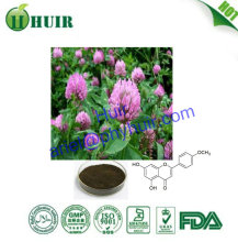Natural Biochanin A powder,Red Clover Extract 98%, Red Clover Extract Powder