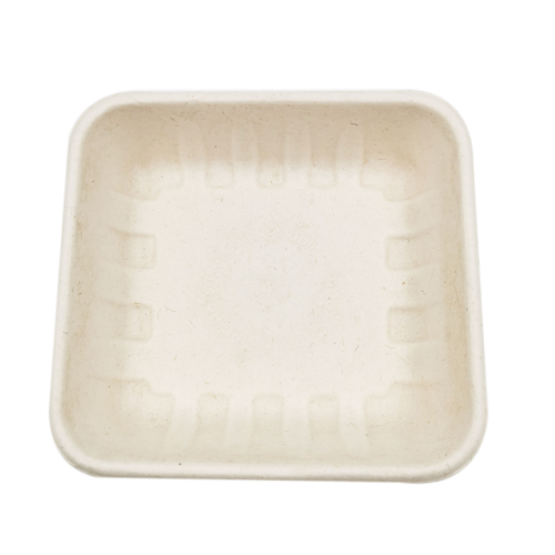 Food Packaging Disposable Biodegradable Food Square Tray