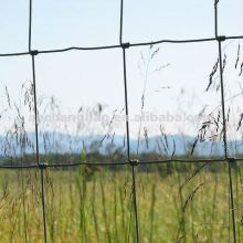 20g/m2 pasture fence