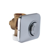 Brass Flush Valve Toilet Concealed Push Button for Wall Mounted