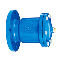 Durable Flange Exhaust Valve with Single Port Design