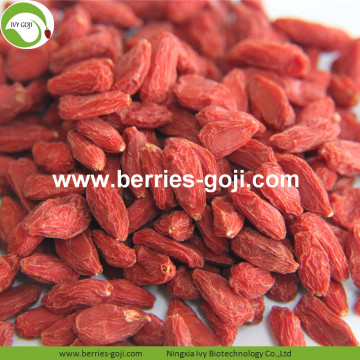 Hot Sale Super Dried Fruit Sexual Strength Wolfberries