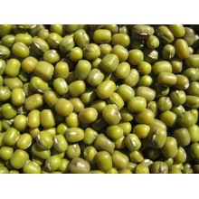 Mung Green Beans Non-GMO