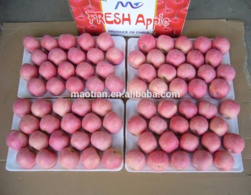 Fruit Apple Fresh Red uji Apple