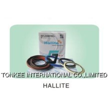 HALLITE hydraulic cylinder seal kit, HALLITE seal kit