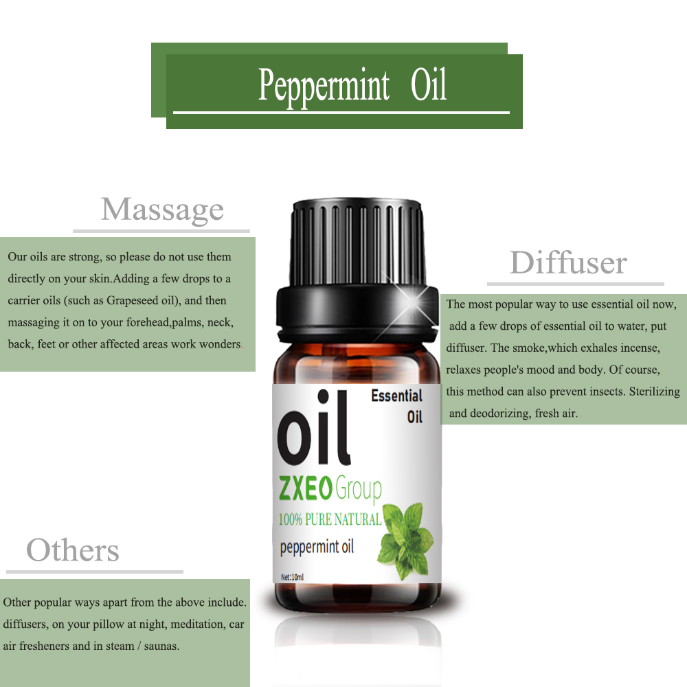 OEM ODM Peppermint al por mayor Peppermint Purify Purify Air