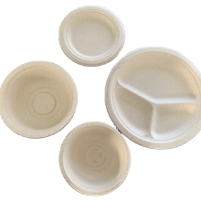 Automatic Pulp Tableware Production Line/Lunch Box Tableware Machine