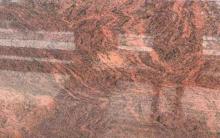 Multicolor Red Granite Stone for Countertops