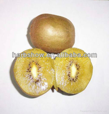 Kiwi fruit seeds/Chinese gooseberry seeds