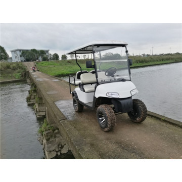 Chariots de golf électriques personnalisés 4 places à vendre