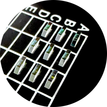 High-Quality PBS Component Assembly