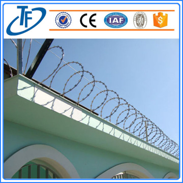 Factory direct sale high quality razor wire mesh