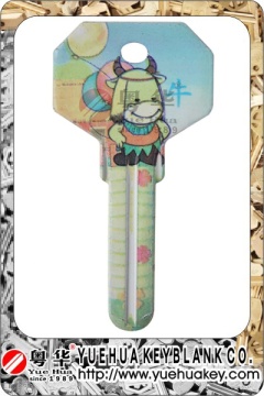 Color Painted House Blank Key