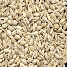 Sunflower Seeds/Kernel