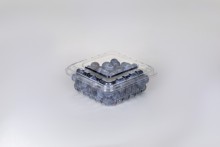 Raspberry Clamshell Packaging