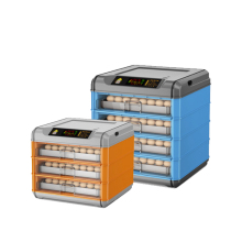 Incubator Success: Hatching 528 Chicken Eggs