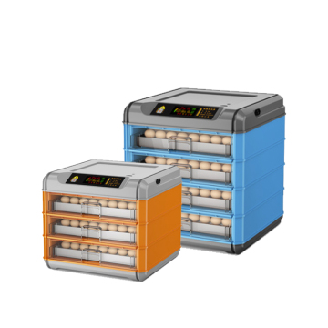 Intelligent Constant Temperature Egg Incubator for Hen Eggs: A Special Hatching Machine for Breeding