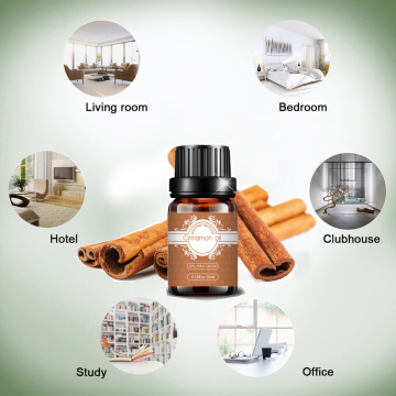 Bulk Wholesale 100%pure natural cinnamon essential oil