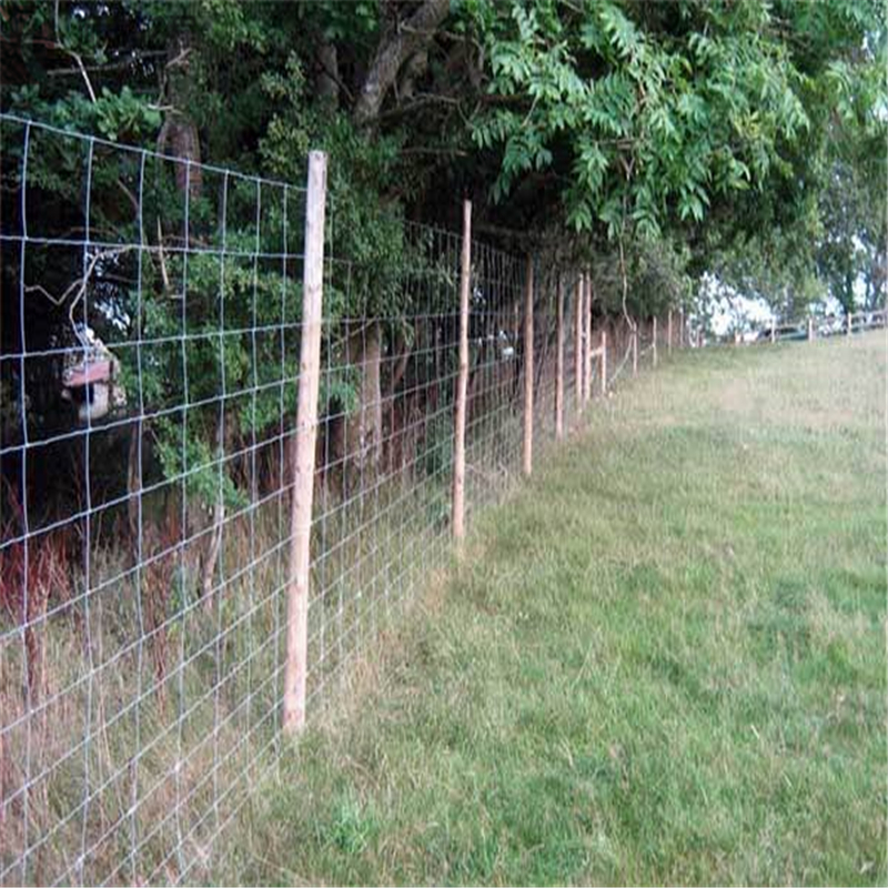 field fence