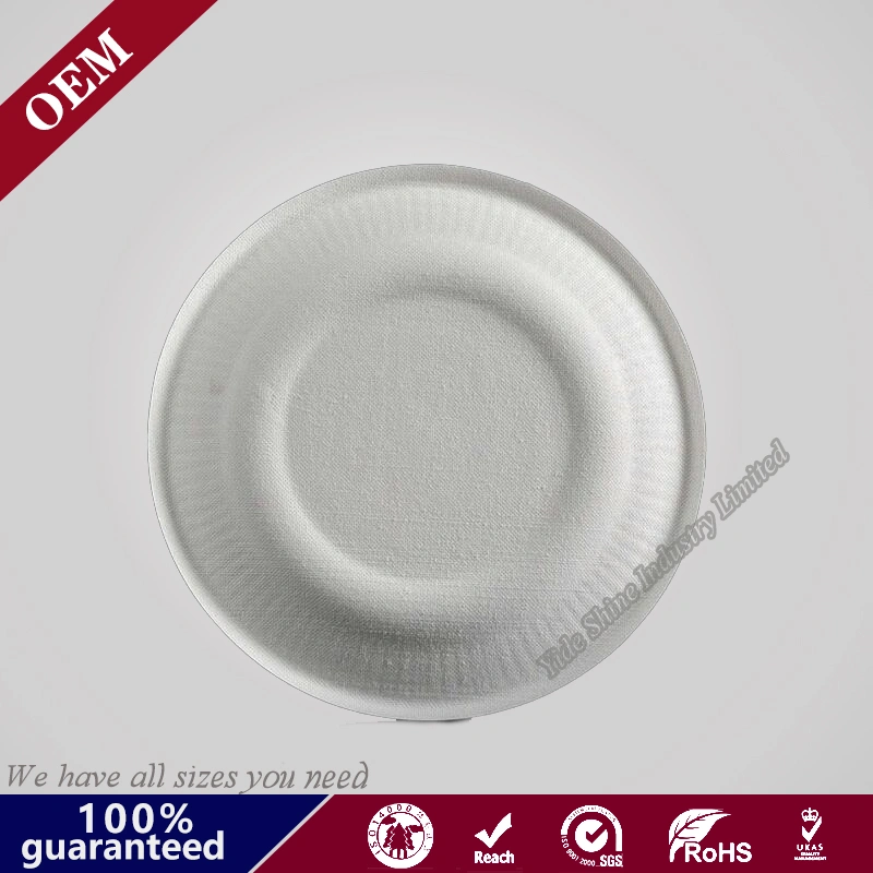 Ecofriendly Paper Pulp Sugarcane Bagasse Oval Plates