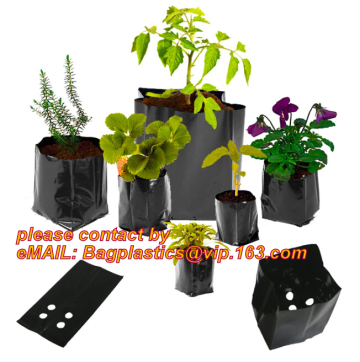 Poly Planter, Grow Bag, garden bags, grow bags, hanging plant bags, planters, Plastic planting bags, pot, plant grow bags, grow