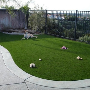 Fake Lawn for Landscaping