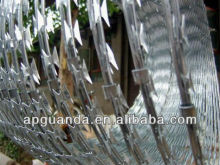 sharp razor barbed wire