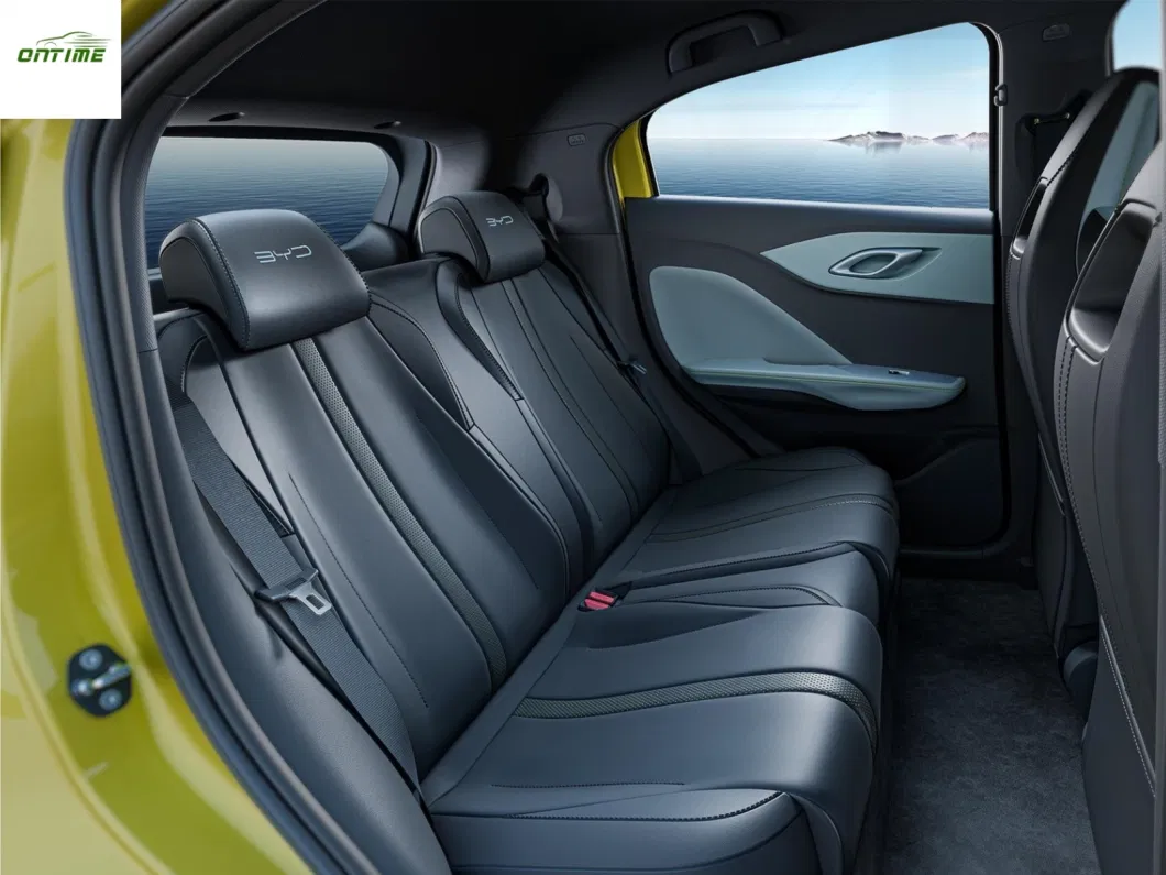 Ontime New Energy Small Electric Vehicle Multi Color Electric Car Household Car Tricolor Car