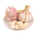 New Season Chinease Fresh Garlic Vetetable