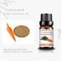 Natural Organic Whitening Anti Aging Face Carrot Seed Oil