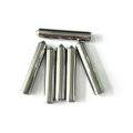 Tungsten Carbide Tire Stud Pins