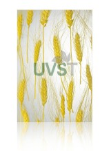 attractive home decoration material