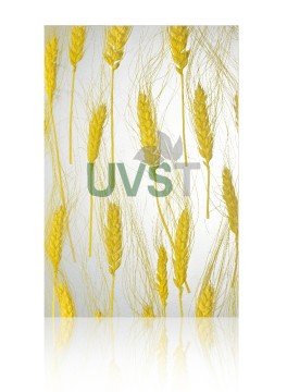 attractive home decoration material