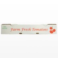 10lb Tomato One-Layer Tray for Fresh Produce