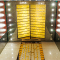 Miroir de titane de luxe Ascenseur de passagers