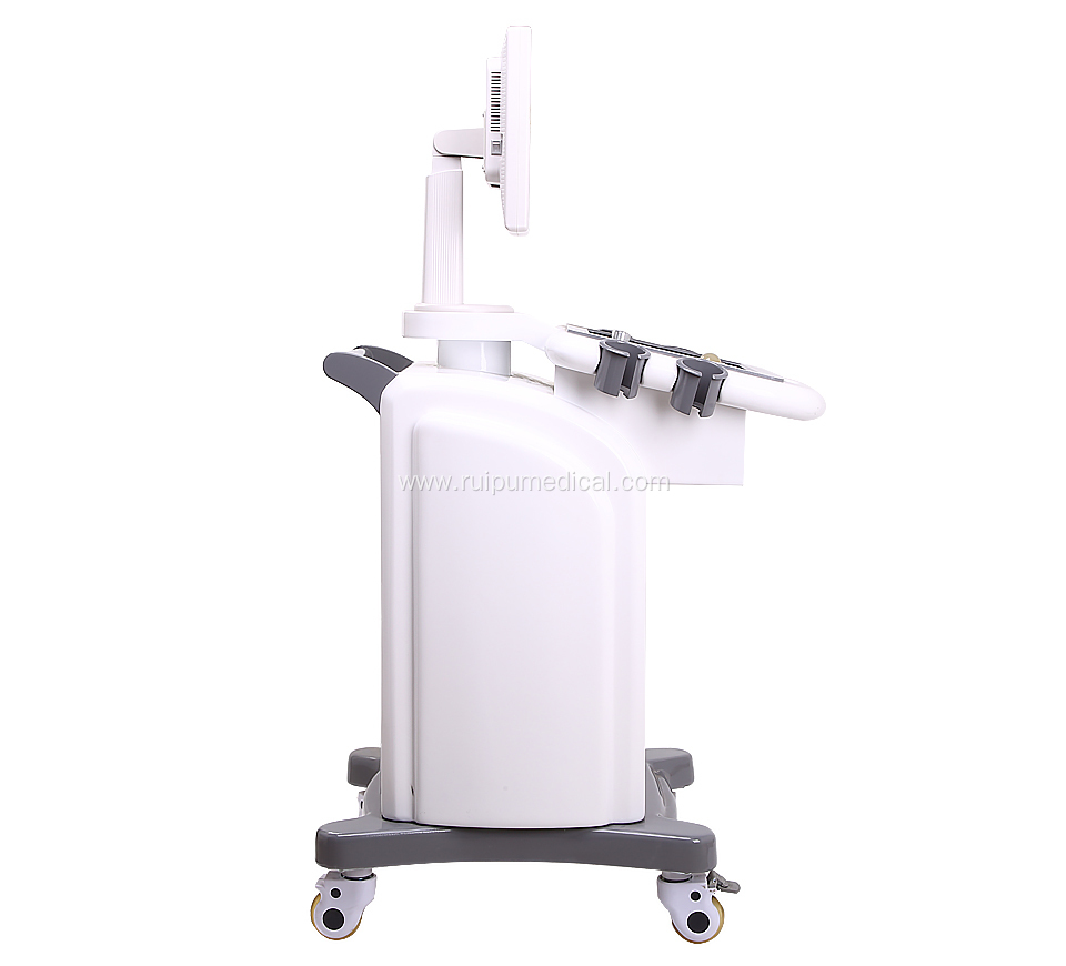 B/W Trolley Ultrasound Scanner Good Price Ultrasound Machine