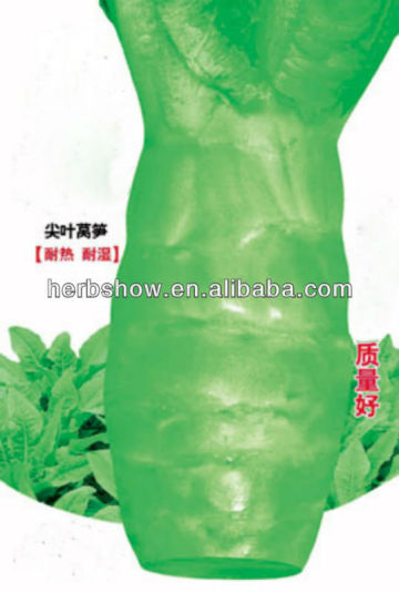 Asparagus Lettuce seed-stem lettuce