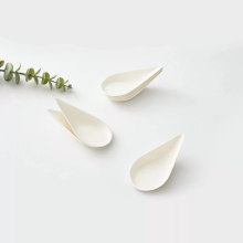 Green White Compostable Sugarcane Bagasse Taster Spoon