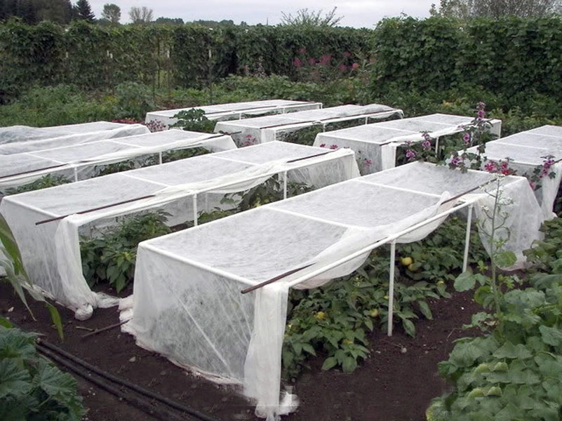 Controllo dell'erbacciatura dell'agricoltura, rotolo di tessuto del rivestimento della prova di protezione del pile