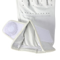 رجال stars cabretta Golf Glove (CGL-26)