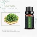 Litsea cubeba assental Oil العضوية للعناية بالبشرة